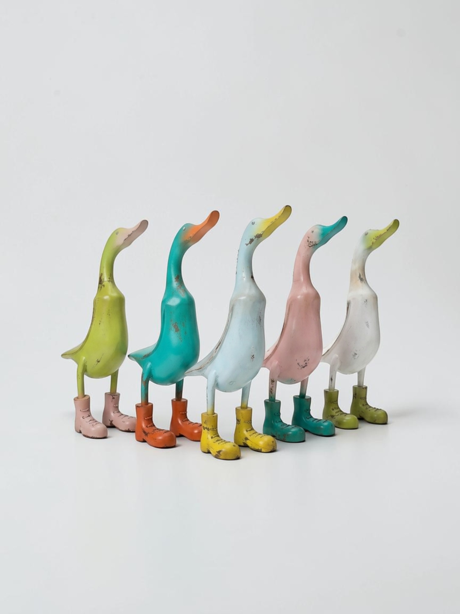 Duck